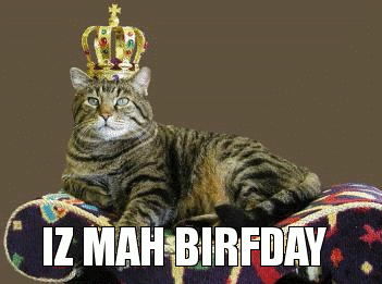 BirthdayCatisKing.gif