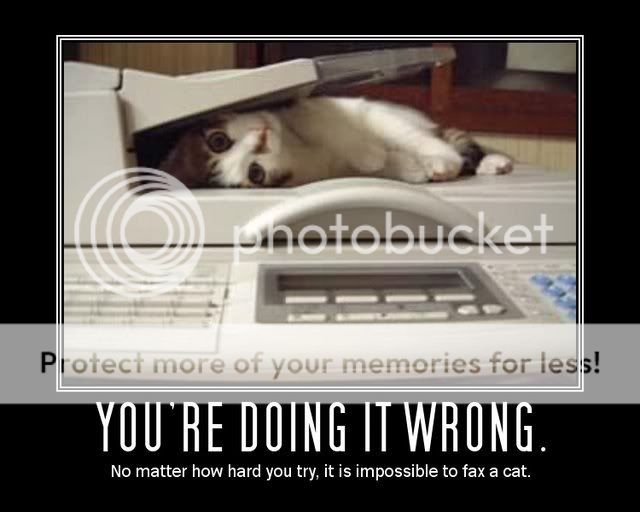 Cant fax a cat Pictures, Images and Photos