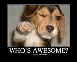 WHOS_AWESOME.jpg