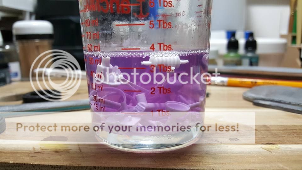 14370431_1437098669638668_17692024931455