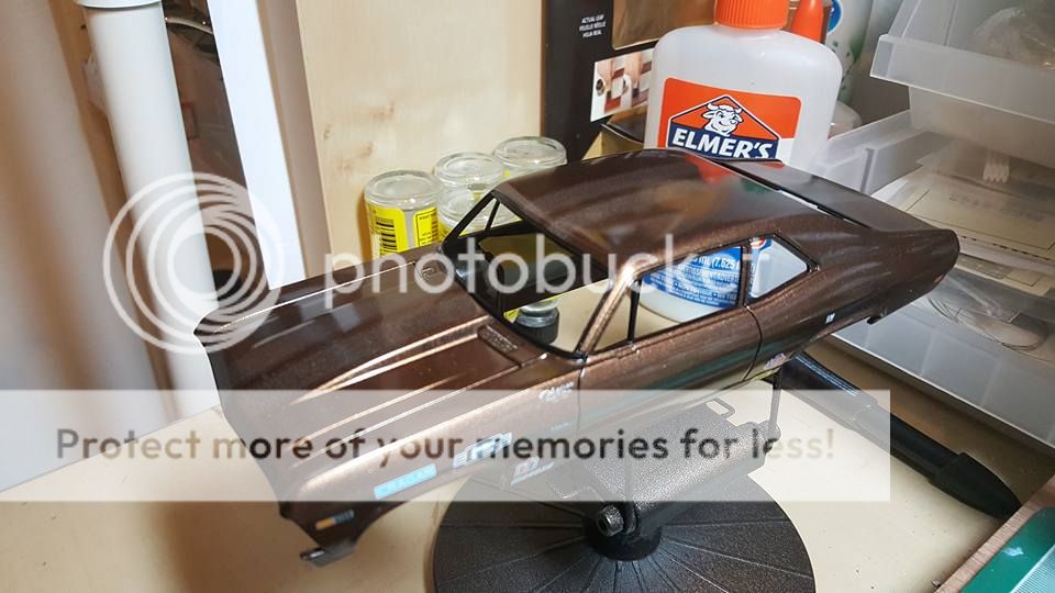 23032553_1905025336179330_74974102665420