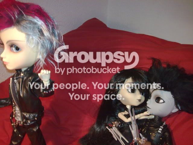 user posted image