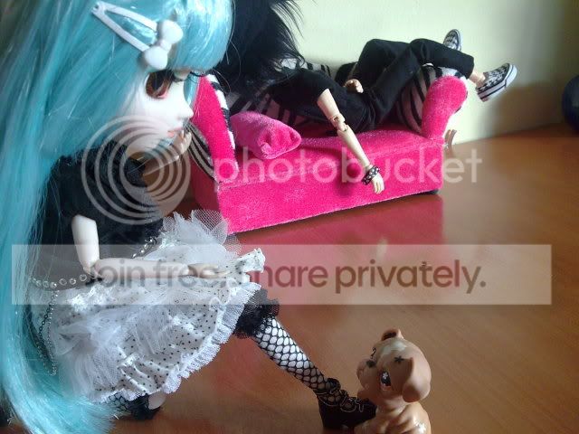 user posted image