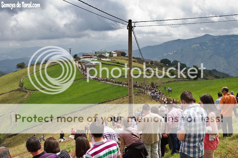 photo IMG_1995.jpg