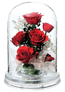 red-roses.gif
